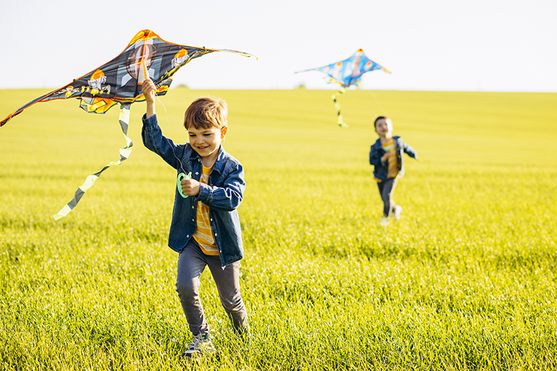 brothers-having-fun-field-playing-with-kite(1).jpg